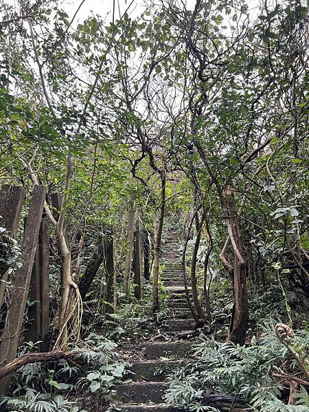 IMG_6489.JPEG IMG_6489.JPEG