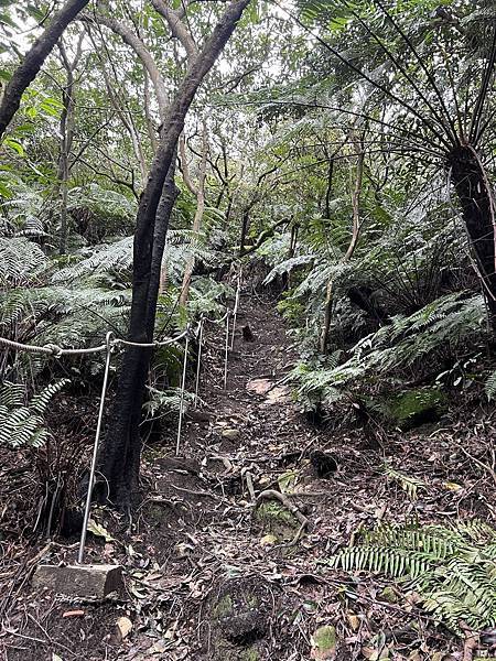 IMG_6492.JPEG IMG_6492.JPEG