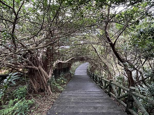 IMG_6376.JPEG IMG_6376.JPEG