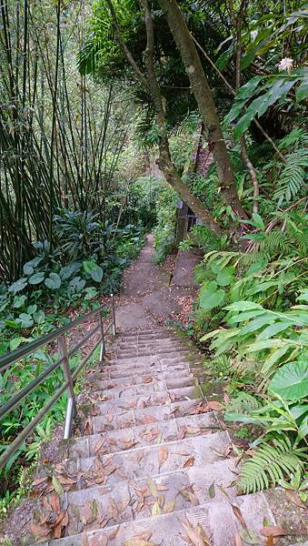 慢遊，這一站：21. 2021年鐵道環島行_Day 5. 平