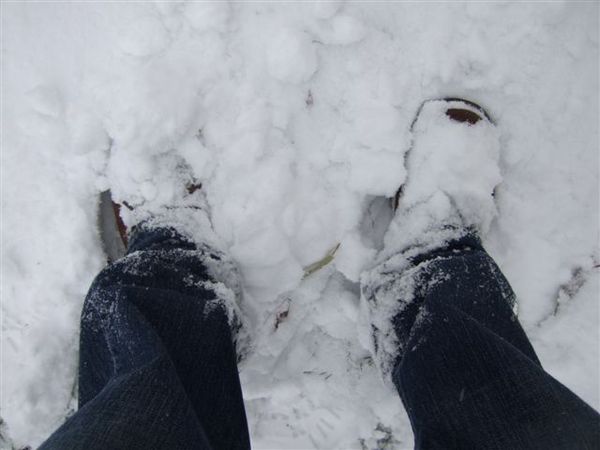 靴子陷入雪中