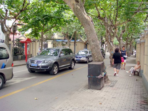 DSC01259.jpg