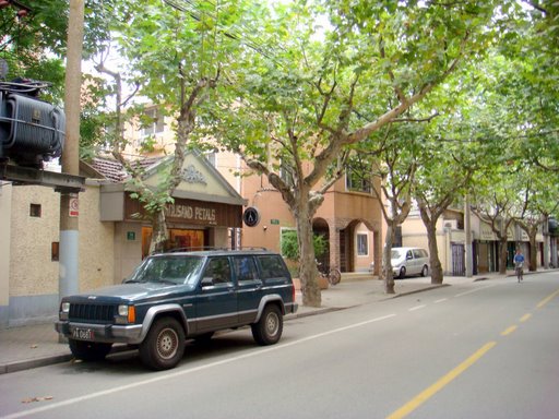 DSC01262.jpg