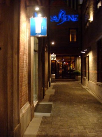 DSC01344.jpg