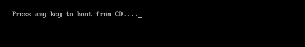 5.gif
