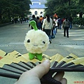 DSC00526.JPG