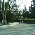 DSC00529.JPG