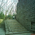 DSC00554.JPG