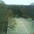 DSC00560.JPG