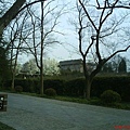 DSC00570.JPG