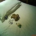 DSC00583.JPG