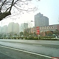 DSC00598.JPG