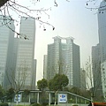 DSC00599.JPG