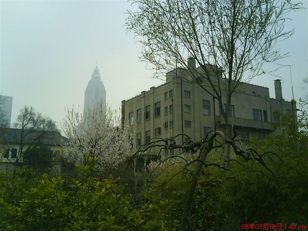 DSC00700.JPG