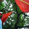 DSC01011.JPG