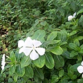 102_0417.jpg