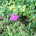 102_0418.jpg