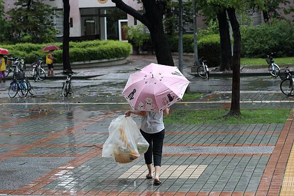 圖說：這樣努力的背影，令人欽佩。