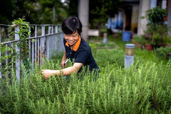 （圖說：沈海花正在示範如何讓迷迭香的香氣沾染衣袖。）