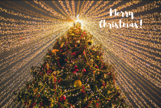 螢幕擷取畫面 2025-01-08 164746 螢幕擷取畫面 2025-01-08 164746