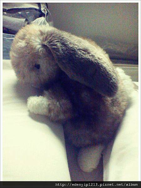 Rabbit doll>.<