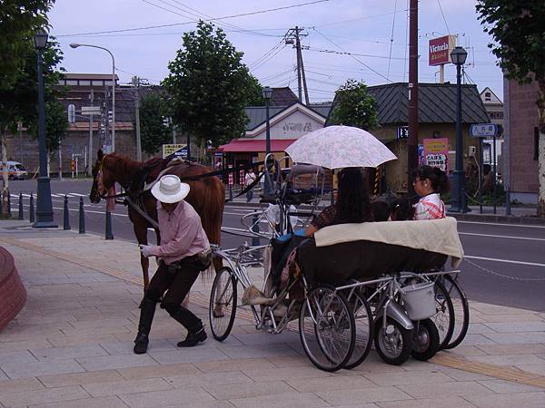 336 路邊有馬車喔.JPG