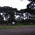 520 公園景 2.JPG