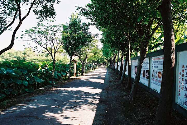 健康步道1.jpg