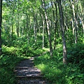 IMG_0019.jpg
