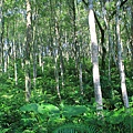 IMG_0020.jpg