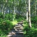 IMG_0021.jpg