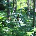 IMG_0023.jpg