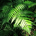 IMG_0035.jpg