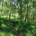IMG_0038.jpg