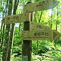 IMG_0039.jpg