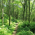 IMG_0055.jpg