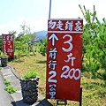 IMG_0097.jpg