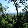 IMG_0041.jpg