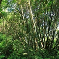 IMG_0045.jpg