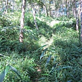 IMG_0290.jpg