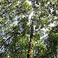 IMG_0270.jpg