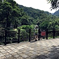 IMG_8526.JPG