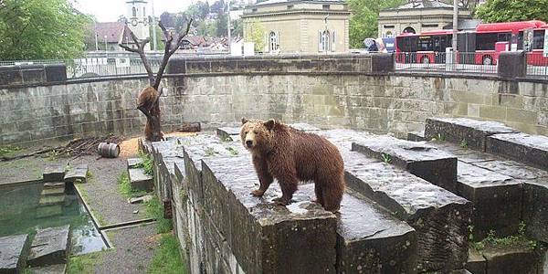 br_in_bern_21_crop_w4c