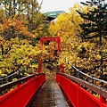 Jozankei-red-leaves-4.jpg