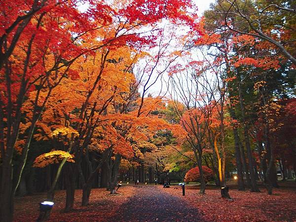 Hakodate-Kousetsuen-Miharashi-1-Resized.jpg Hakodate-Kousetsuen-Miharashi-1-Resized.jpg