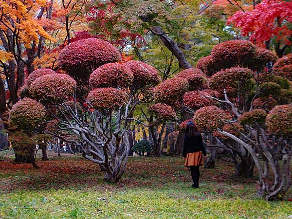 Hakodate-Kousetsuen-Miharashi-6-resized.jpg Hakodate-Kousetsuen-Miharashi-6-resized.jpg