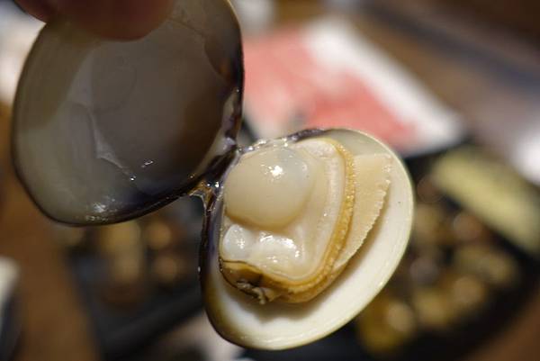 DSC01984.JPG DSC01984.JPG