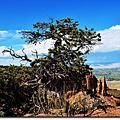 Taken from Otto's Trail Trail