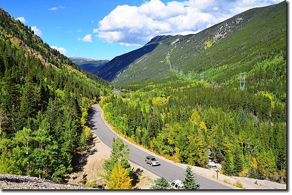 Aspen at Guanella Pass 1.jpg