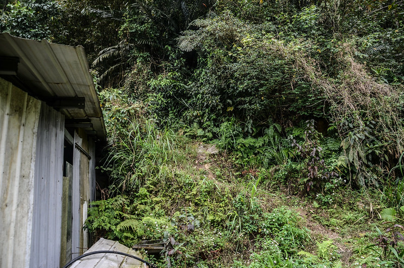 比來山西南峰山徑登山口 (2)